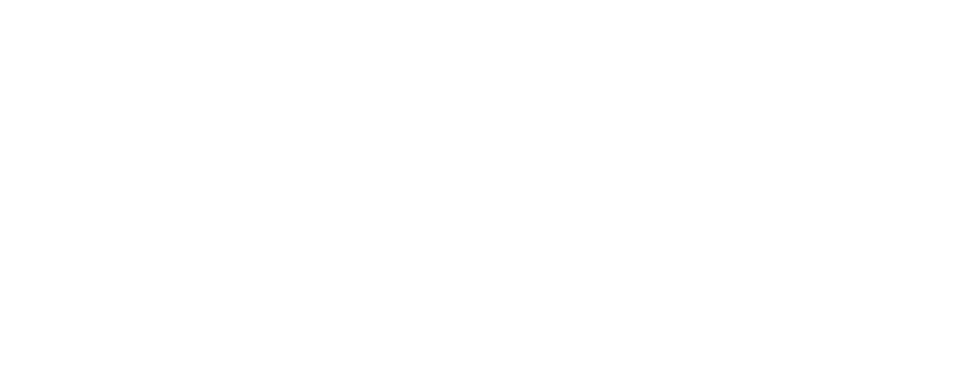 Die Wurzeln der Gründung begann Anfang der 70ziger Jahre.                                                                                     1970 hatte Lommel den 1. BORN TO BE WILD MC BERLIN unter einem anderen Colour gegründe. Dieser löste sich dann 1971 wieder auf: Irgendwann 1975, sich heute auf einen konkreten Tag festlegen will und kann niemand mehr, hatte Lommel  die „Schnauze voll", sich als irgend ein Mitglied in einem der damals sehr zahlreich (so an die 15) in Berlin vertretenen Rockerclubs rumzuärgern. Mit sechs anderen Freunden beschloss er deshalb, und damals ging das noch so von heute auf morgen, einen eigenen MC zu gründen. Als erstes stand danach die Namensgebung des MC’s an und Lommel beschloss, daß das Lebensmotto der Mitglieder aus dem Colour des Clubs ersichtlich sein sollte. Und so entwarf er ein Colour, das im oberen Bogen das Lebensmotto „BORN TO BE WILD" enthielt und im unteren Bogen den eigentlichen Namen des MC’s, nämlich „Santa Maria Vikings". In die Mitte wurde das eiserne Kreuz mit dem bekannten behelmten Totenschädel mit dem Dolch zwischen den Zähnen gesetzt.